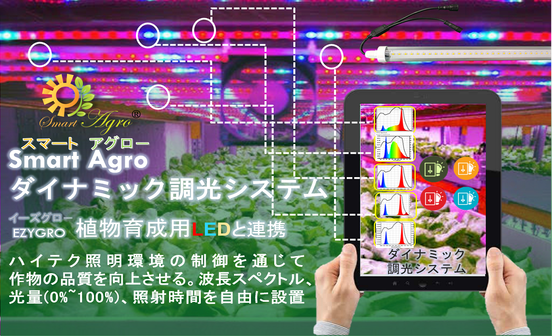 高効率植物育成用LED照明